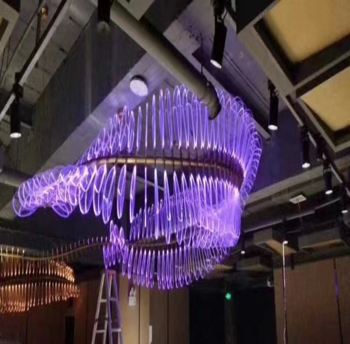 Commercial Purple Spine Lighting